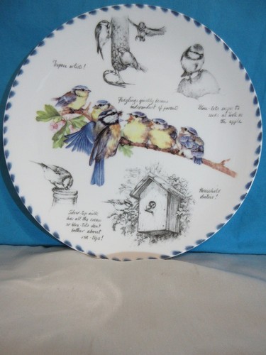 Danbury mint wedgwood - mint, plate
