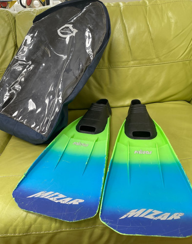 Swimming fins including carry