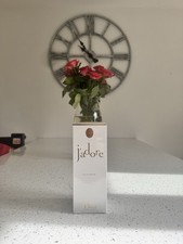 Jadore J'adore 100ml Eau de