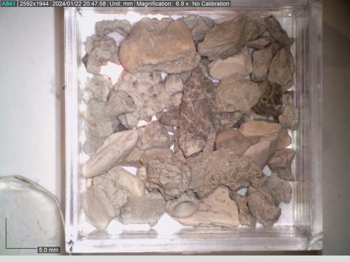 Boxed fossil pre - pre, dinosaur