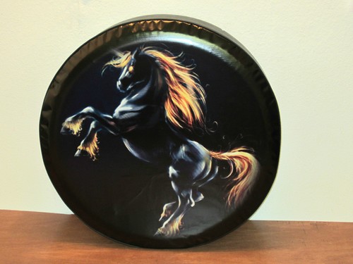 Horse spare wheel - horse,