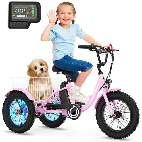 Mooncool electric bike - mooncool,