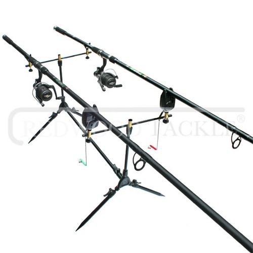 Starter carp fishing - carp,