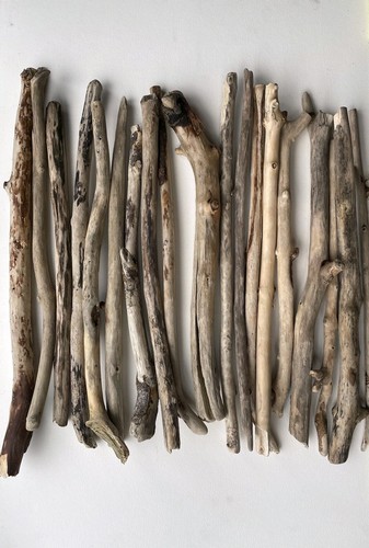 10x 50cm straight driftwood - 50cm,