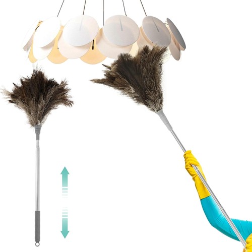 Ostrich feather dusters - ostrich,
