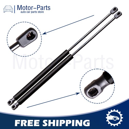 Tailgate gas charged lift - gas,