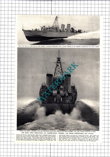 Motor torpedo boat bold - boat,