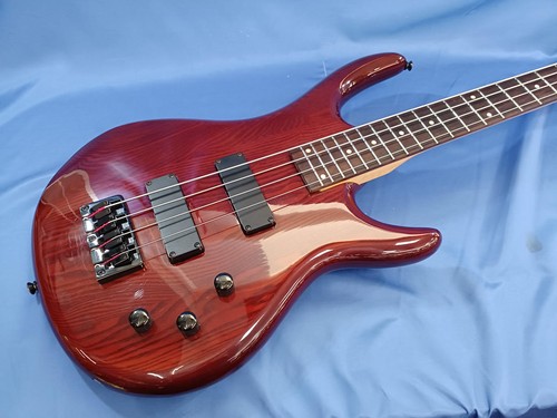 Epiphone electric bass - epiphone,