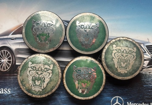 Four genuine jaguar - four,