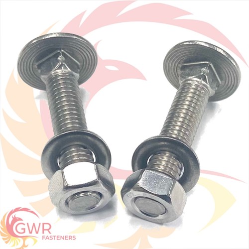 Carriage bolts nuts - m6,