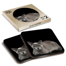 Square MDF Coaster Burmese Cat