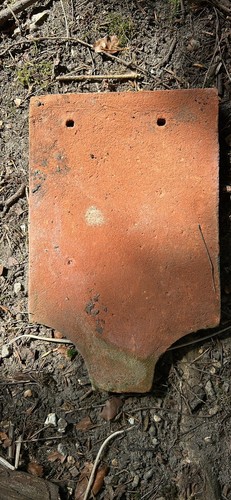 Reclaimed red rosemary - rosemary, clay