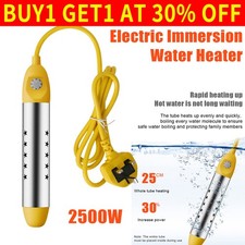 2500W Electric Immersion Water