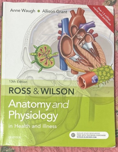 Ross wilson anatomy and - ross,