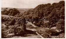 Darnholme Goathland Real Photo