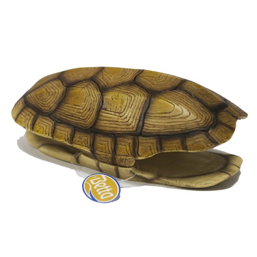 Betta turtle shell - turtle, hide
