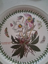 Excellent Portmeirion Botanic