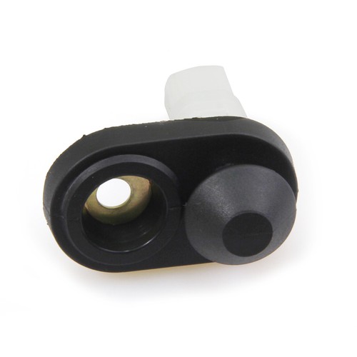Courtesy lamp switch door - courtesy,