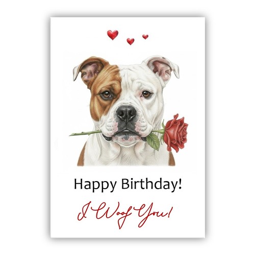 American bulldog dog - american,