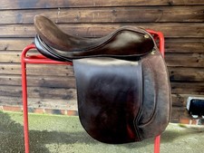 Fylde Mick Show/Working Hunter