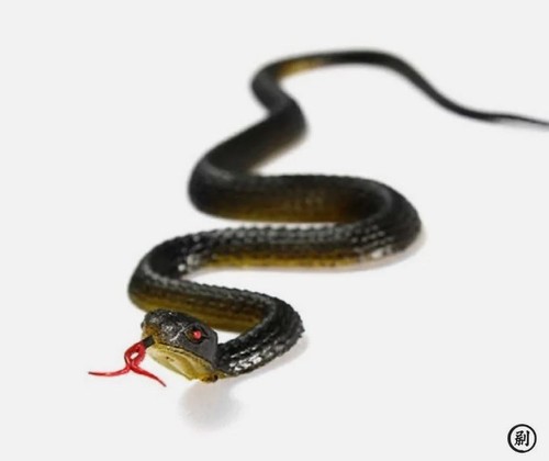 45cm realistic fake rubber - realistic,