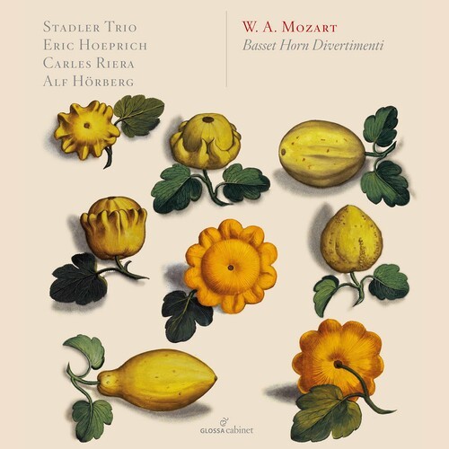 Mozart basset horn - w.a.,