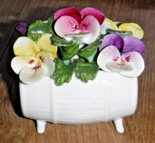 Aynsley flower the - of,