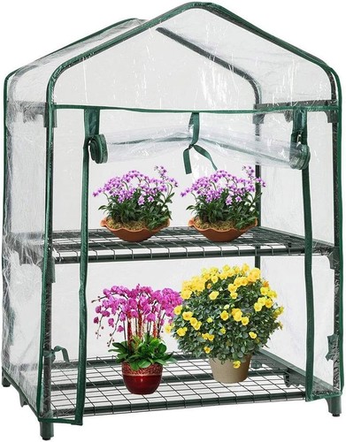 Outdoor garden grow - garden, with