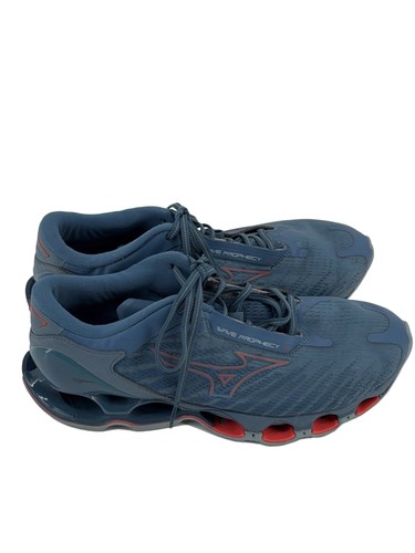 Mizuno wave prophecy - mizuno,