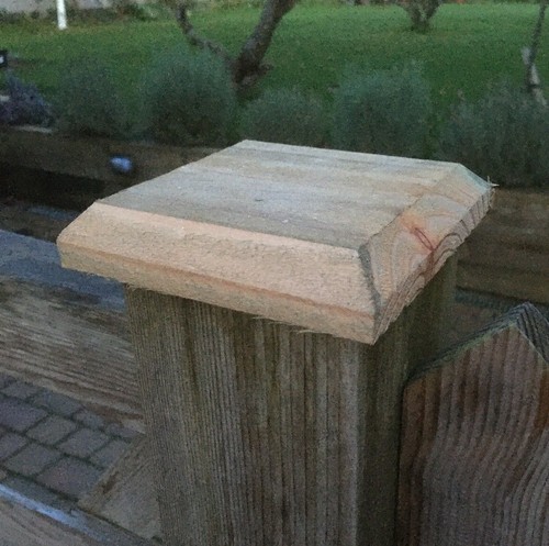 Fence post cap treated - fence, cap.