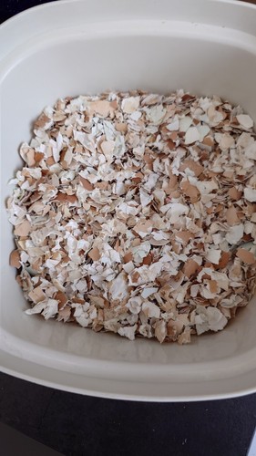 Crushed egg shell sterilised - egg,