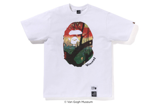 Bathing ape bape van - van, gogh