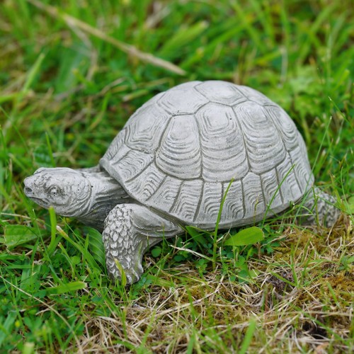 Tortoise stone statue - stone,