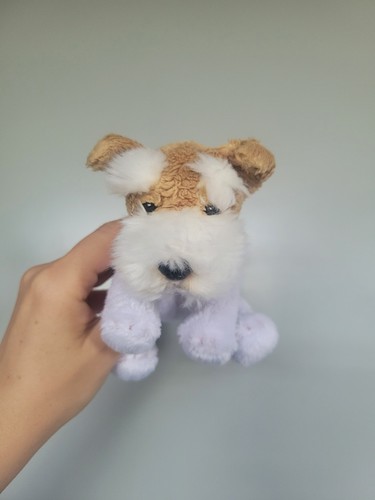 Suki fox terrier - suki, soft