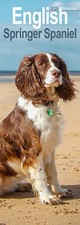 English Springer Spaniel Slim 2026 Calendar | Dog Gift 15% OFF MULTI ORDERS