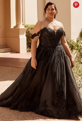 Sophia tolli rebekah black - sophia,