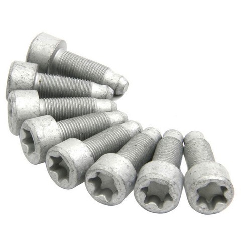 Flywheel screw set hardware - screw,
