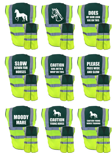 Horse riding vis - hi,