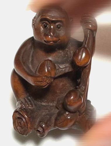 Monkey peach tree - monkey,
