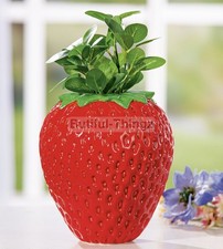 Rare Italian Designed Art Glazed Ceramic Abstract Fruit Vase Very Striking