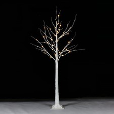 Birch Tree Christmas