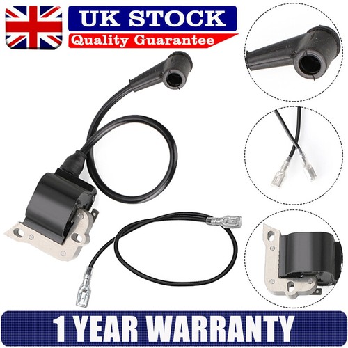 Ignition coil for - ignition,