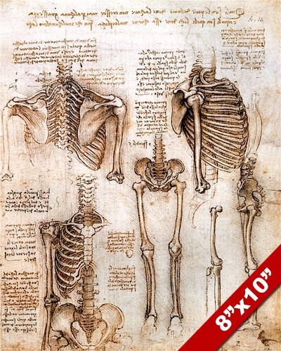 Leonardo vinci sketch - leonardo,