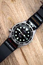 citizen promaster automatic