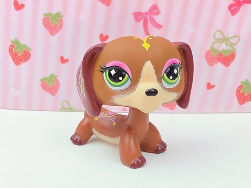 Authentic dachshund dog - dachshund, g7
