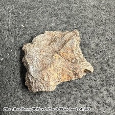 NWA H5 Chondrite Meteorite