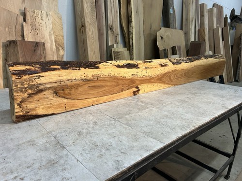 Spalted white oak - spalted,