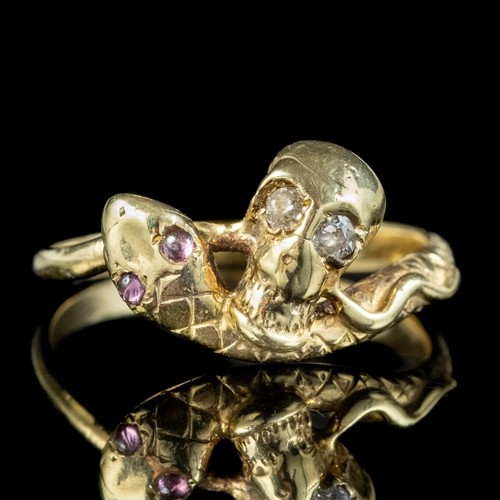 Skull snake round cut purple - skull,