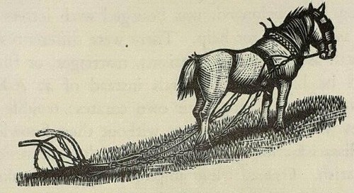 Working horse plough 1936 - horse, w