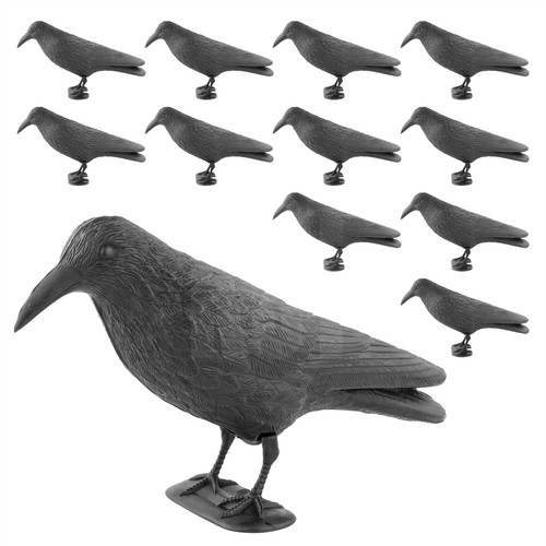 Decoy crow fake bird garden - crow,